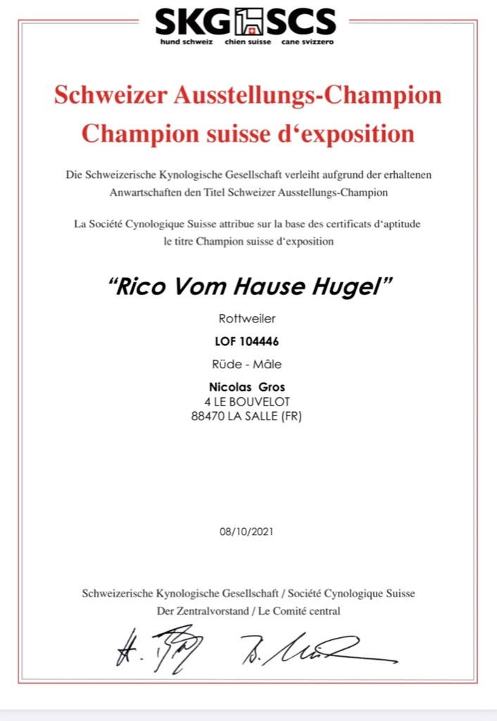 Vom Hause Hugel - Rico, champion suisse d expositions !!!!