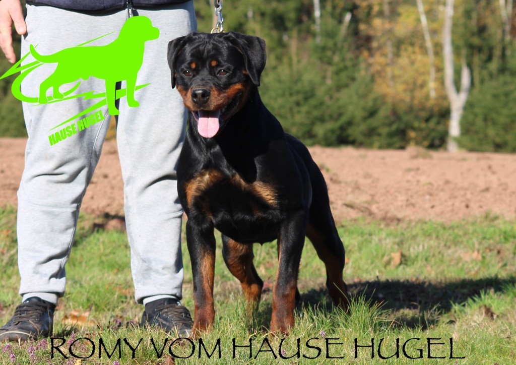 Romy Vom Hause Hugel