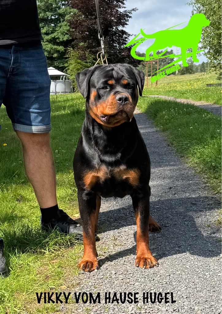 Vikky Vom Hause Hugel