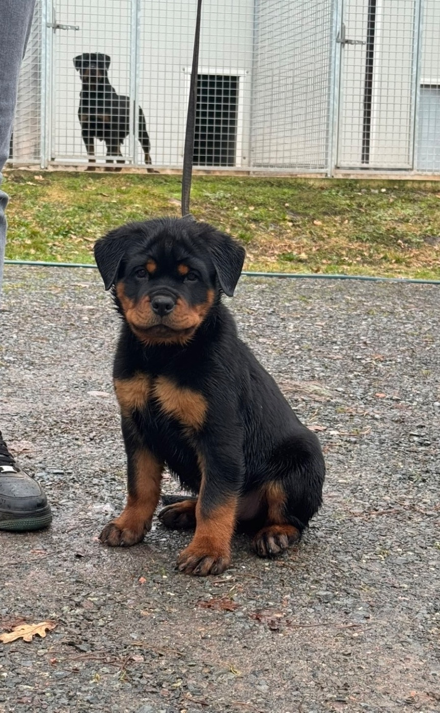 ACHTUNG du rocher de Mutzig