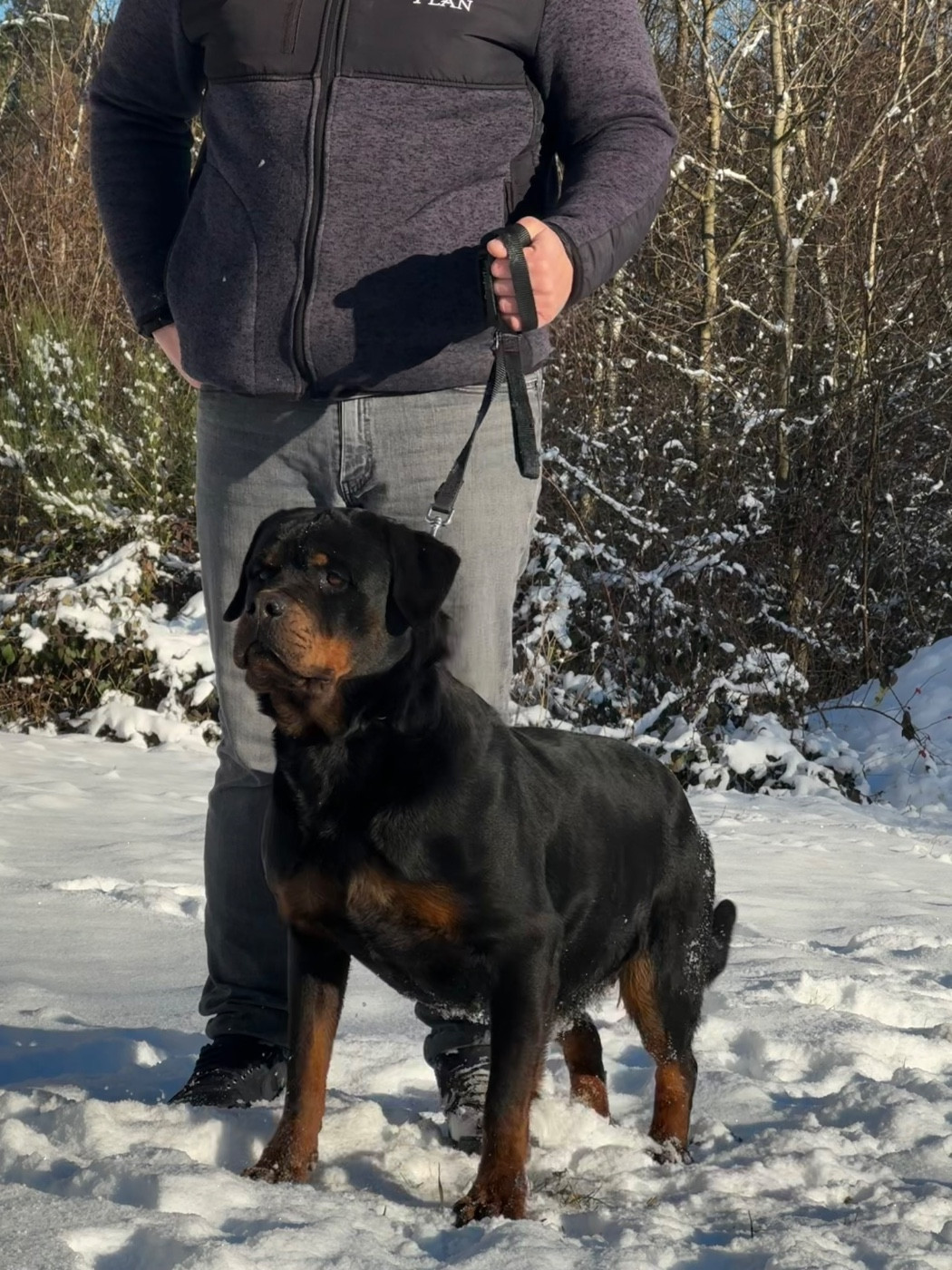 Uguette du rocher de Mutzig