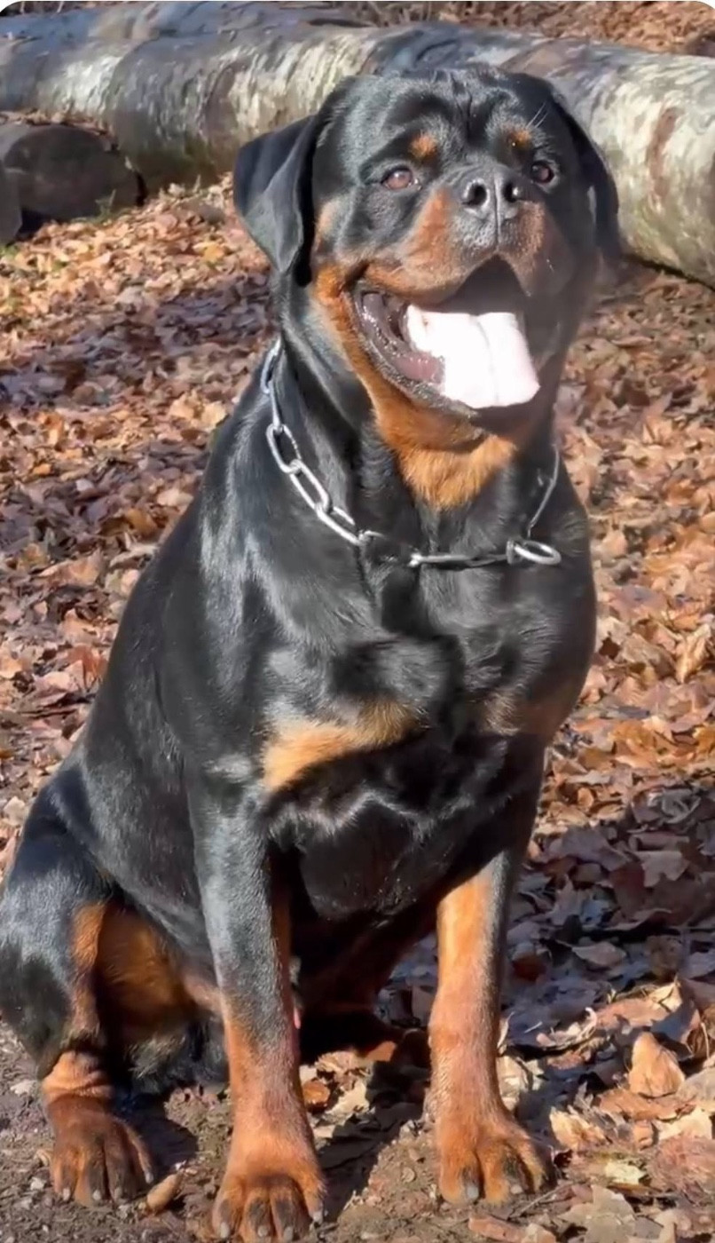 UNSER TITO Vom Hause Hugel